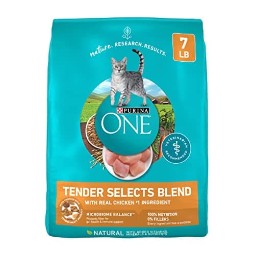 Amazon.com : Purina ONE Natural Dry Cat Food, Tender Selects Blend ...