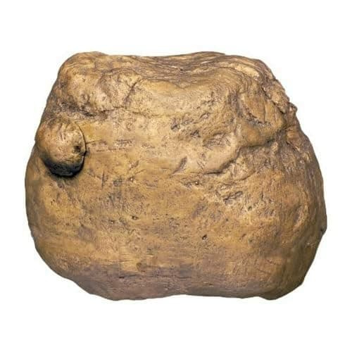 Exo Terra Feeding Rock