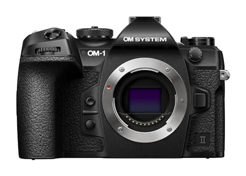 OM System OM1 review - Not a birding review!!! - The Cotswold Photographer
