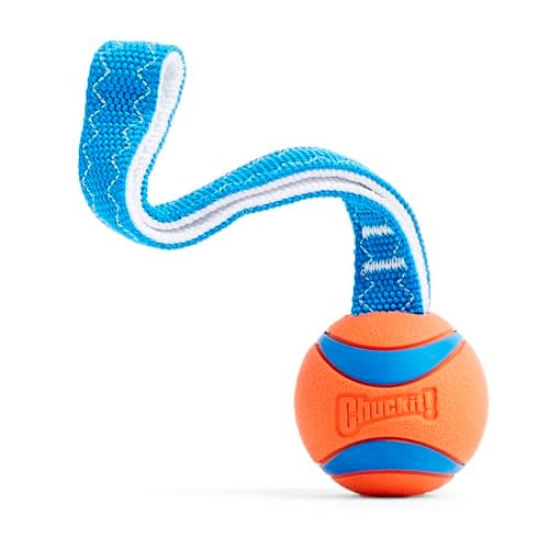 Chuckit! Ultra Tug