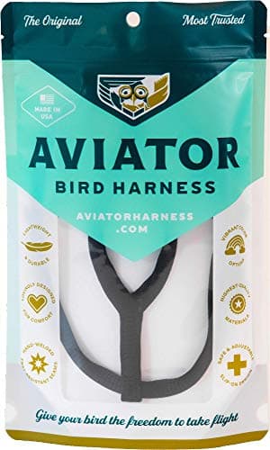 Aviator Harness and Leash | The Aviator Harness