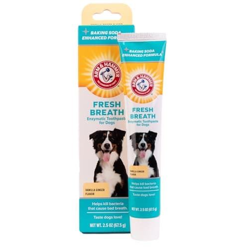 Arm & Hammer Clinical Care Enzymatic Dog Toothpaste