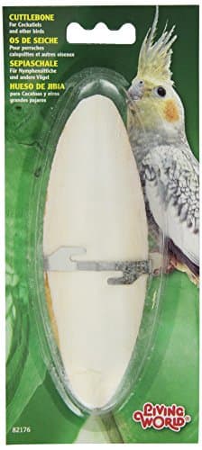 Living World Cuttlebone with Holder
