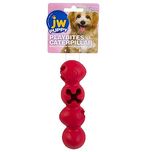 JW® ACTIVITOY® NUTCASE BIRD - Chirp N Dales Pet Supply