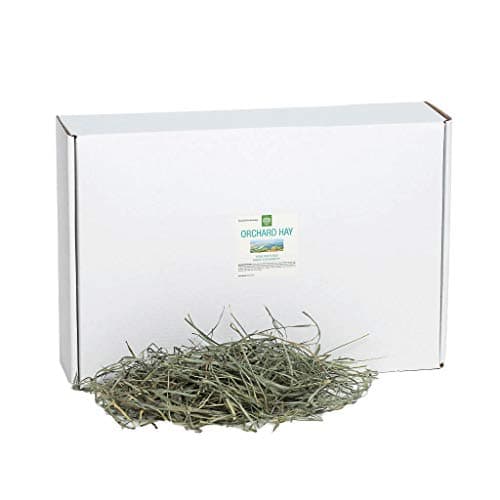 Amazon.com : Small Pet Select Orchard Grass Hay Pet Food, 5 lb. : Pet ...