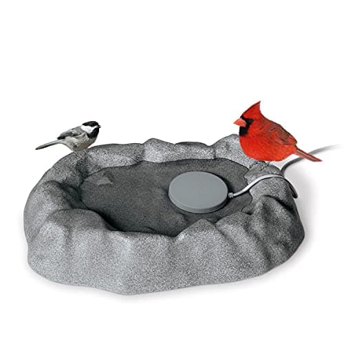 Amazon.com: kathson Stainless Steel Bird Bath 16.14"×12.2"×2.36" Metal ...