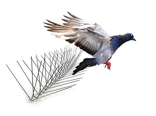 Bird-X 24 ft. Original Commercial Grade Stainless Steel Bird Spikes STS ...