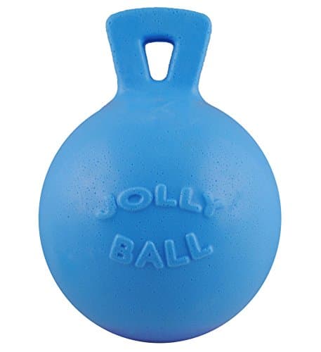 Jolly Pets Tug-n-Toss Ball