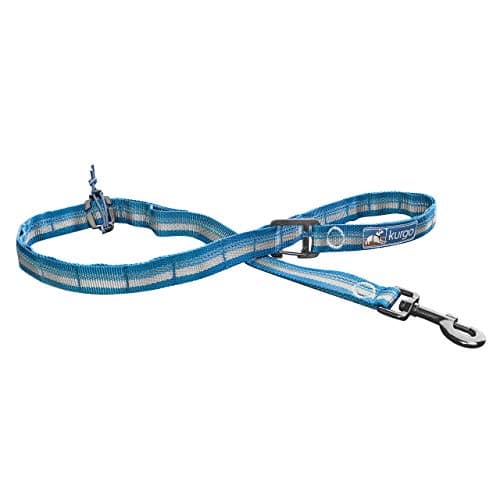 Expert review of Kurgo Quantum 6-in-1 Dog Leash - Hands Free | ExpertVoice