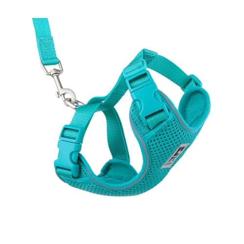 RC Pets Adventure Kitty Harness - Splatter | Natural Pet Foods