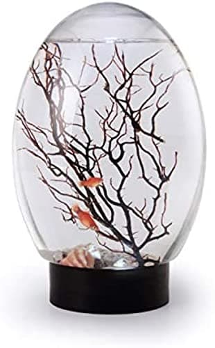 EcoSphere Closed Aquatic Ecosystem