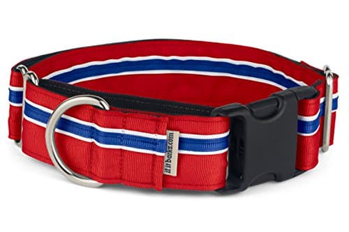 Amazon.com : If It Barks - 1.5" Martingale Collar for Dogs - Adjustable ...