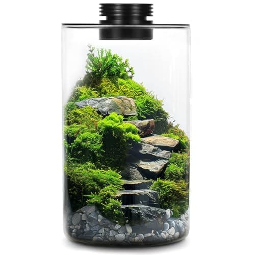 Domed Terrarium | Terrarium, Succulent garden indoor, Succulent garden ...