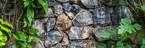 Exo Terra : mur de roche en mousse avec plantes pour terrarium