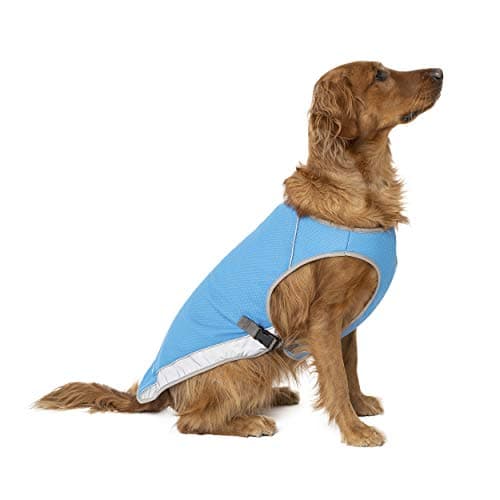 Canada Pooch Cooling Vest
