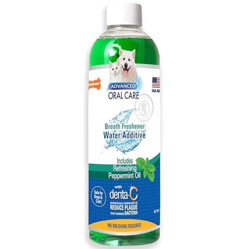 NYLABONE® ADVANCED ORAL CARE CAT DENTAL KIT – CITTAPET TIENDA
