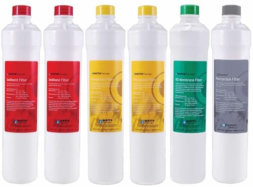 Pack de filtres annuel Watts Premier 531411