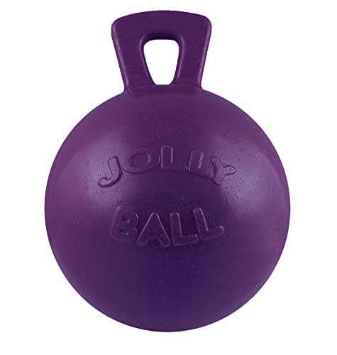 The Original 10" Jolly Ball | Horse Toy - Horsemen's Pride