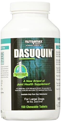 Dasuquin with MSM Soft Chews - Joint Supplement for Dogs