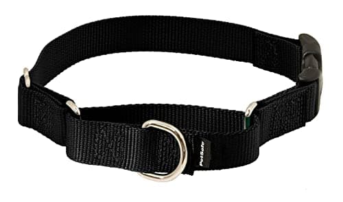 PetSafe Martingale Collar with Quick Snap Buckle - NYC Pet