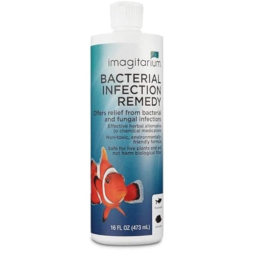 Imagitarium Bacterial Infection Remedy (16 oz) | Delivery Near Me ...