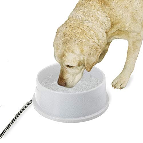 Bol d eau chauffé K&H Pet Products Thermal-Bowl
