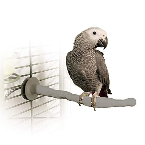 Multi-Branch Perch