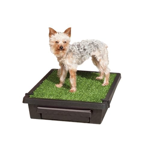 PETSAFE Pet Loo Portable Indoor & Outdoor Dog Potty, Medium - Chewy.com