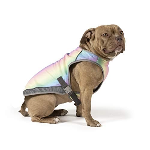 Canada Pooch Wave Rider Life Vest for Dog, Pink - Small - Live ...