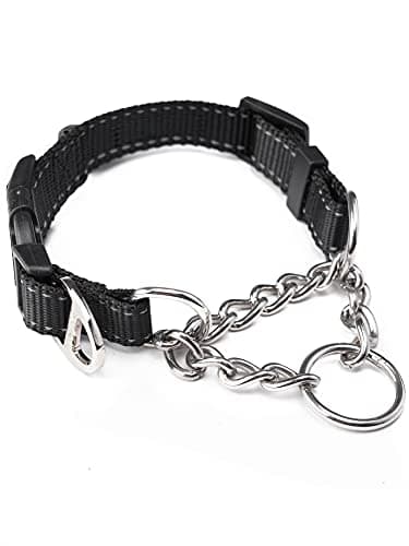 Mighty Paw Martingale Training Dog Collar, Limited Cinch Chain ...