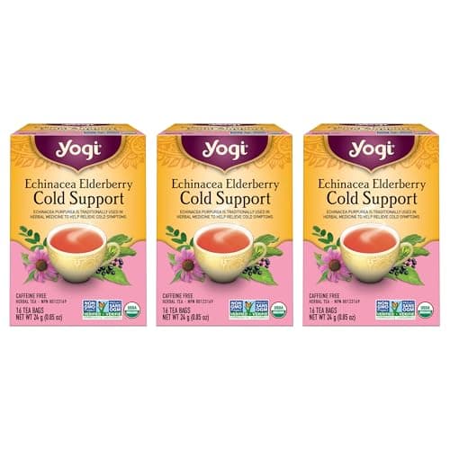 Amazon.com : Yogi Echinacea Immune Support Organic Tea, Caffeine ...