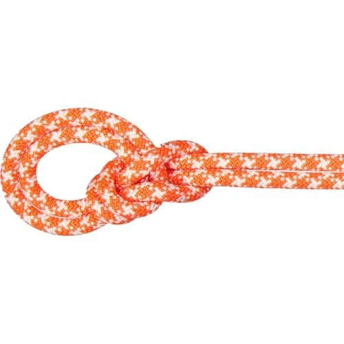 Mammut 9.5 Crag Dry Rope - Single rope | Free EU Delivery | Bergfreunde.eu