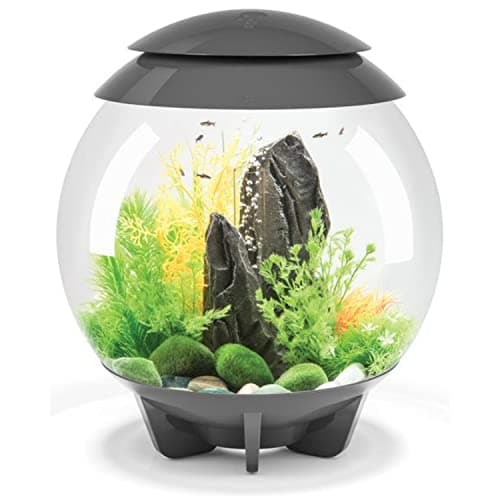 biOrb akvárium CUBE MCR 30 černá | Akvaristika, akvária | Obchod SANTIM