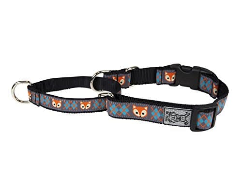 Primary Web Training Clip Collar |Martingale Dog Collar