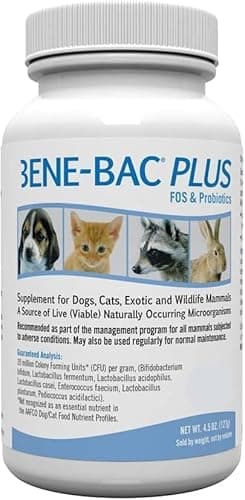 Benebac Plus Pet Gel 15g for dogs & cats - LoyalPetZone India