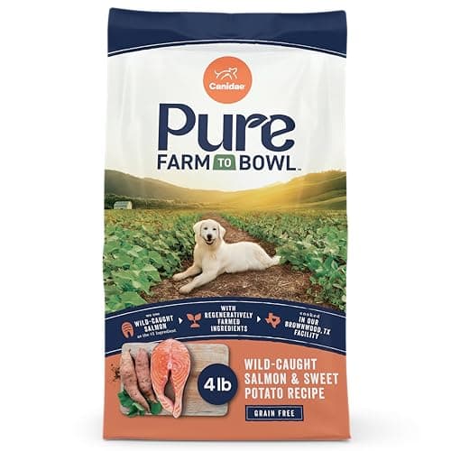 CANIDAE Grain-Free PURE Limited Ingredient Salmon & Sweet Potato Recipe ...