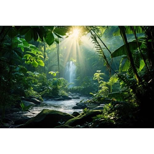 Terrarium Background Kit Medium – The Bio Dude
