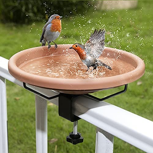 The best bird baths in 2024