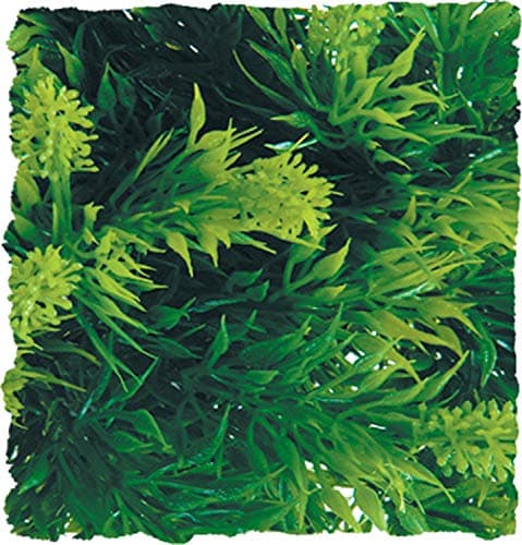 ZOOMED MALAYSIAN FERN M roślina wisząca | sklep terrarystyczny reptility.pl