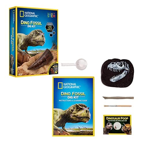 Shifu Orboot Dinos AR Globe