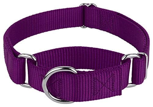 Amazon.com : Country Brook Petz - HossFit Jr Wide Martingale Dog Collar ...