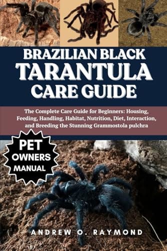 Beginner's Guide To The Brazilian Black Tarantula