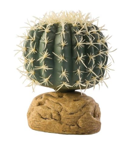 Exo Terra Desert Ground Plant Star Cactus - Aqualvera – Aquarium Fish ...