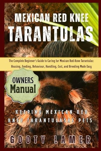 Mexican redknee tarantula (Brachypelma smithi), cut-out, Mexico Stock ...