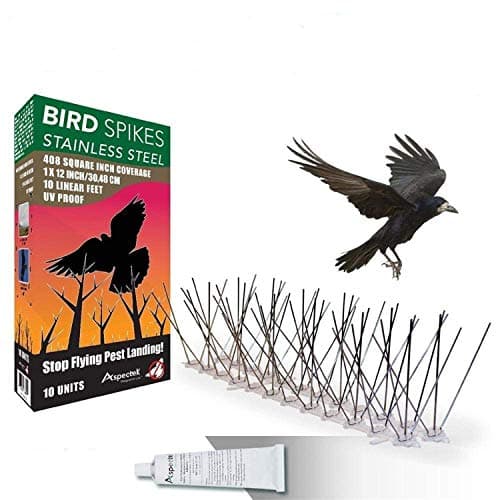 Aspectek Stainless Steel Bird Spikes Kit with Adhesive Glue, Covers 10