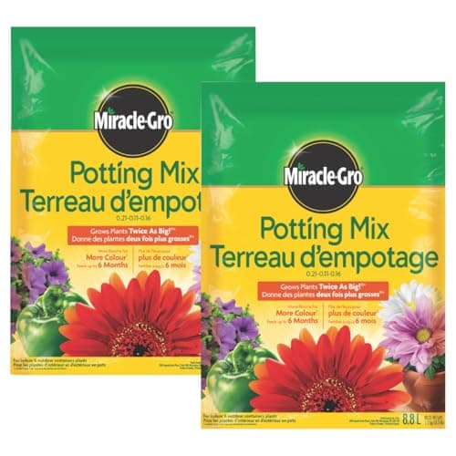 Miracle-Gro Moisture Control Potting Mix – Soil for Indoor & Outdoor ...