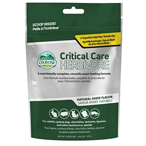 Oxbow Critical Care Herbivore Natural Anise Flavour Recovery Small Pet ...