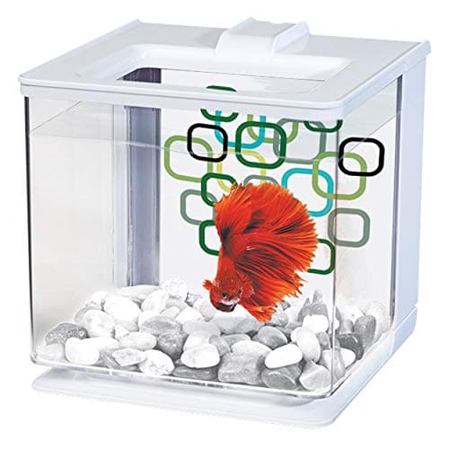 Marina EZ Care Betta Kit – Coburg Aquarium