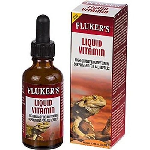 Beat the Summer Heat- Boost your Reptile's Health with Vitamins and ...