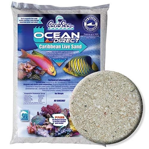 Caribsea Arag-Alive Bahamas Oolite Live Sand 20lb / 9kg – Essex Marine ...